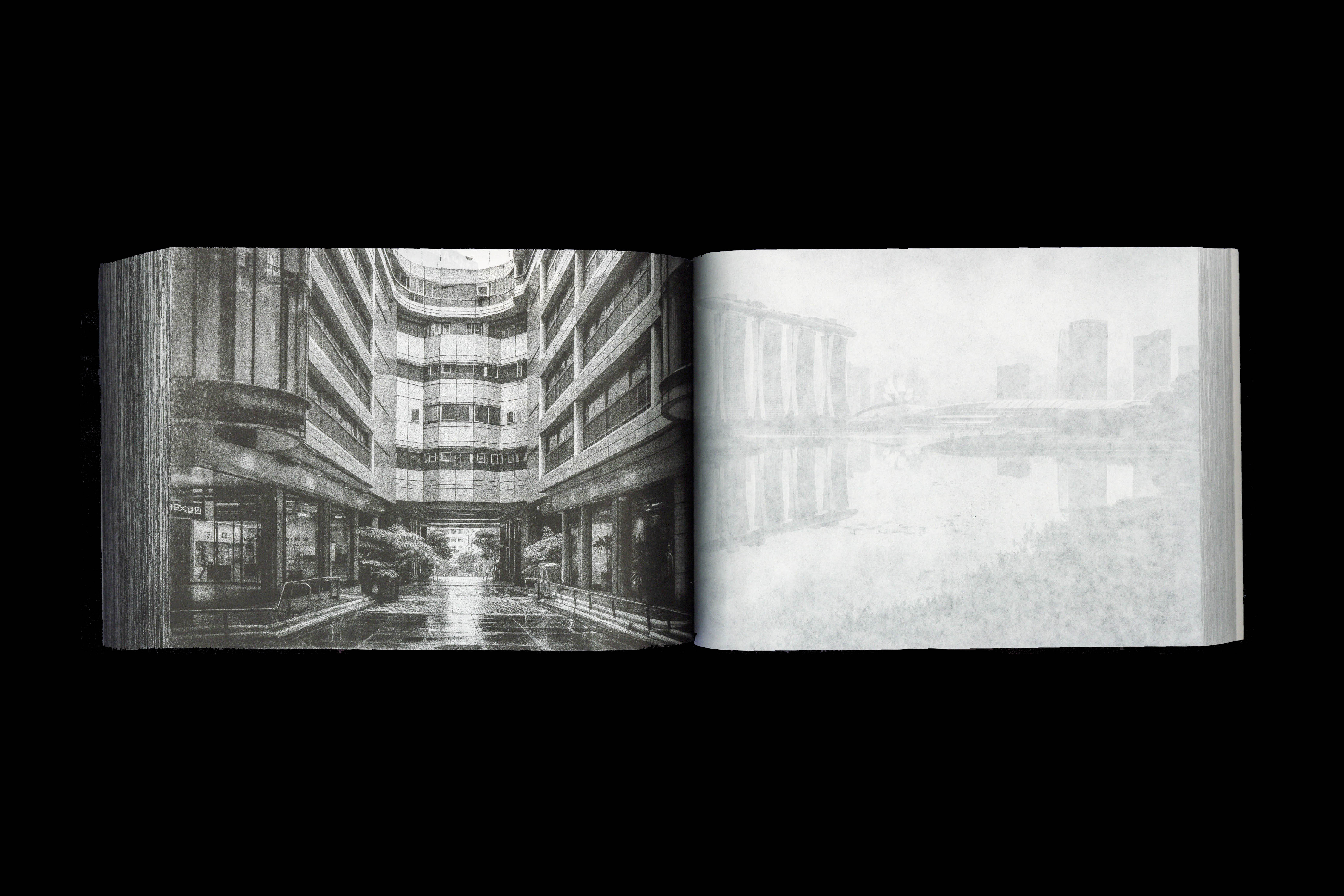 878 Agnes Pori (artist publication), for Isidro Ramirez